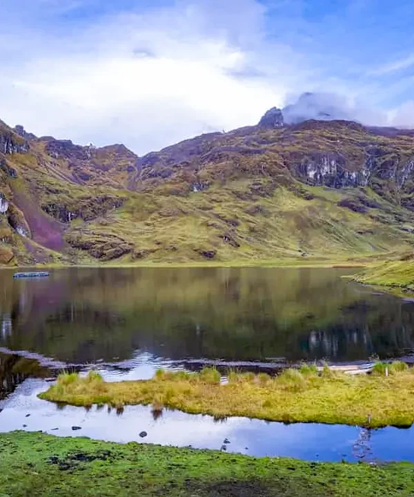 lares laguna