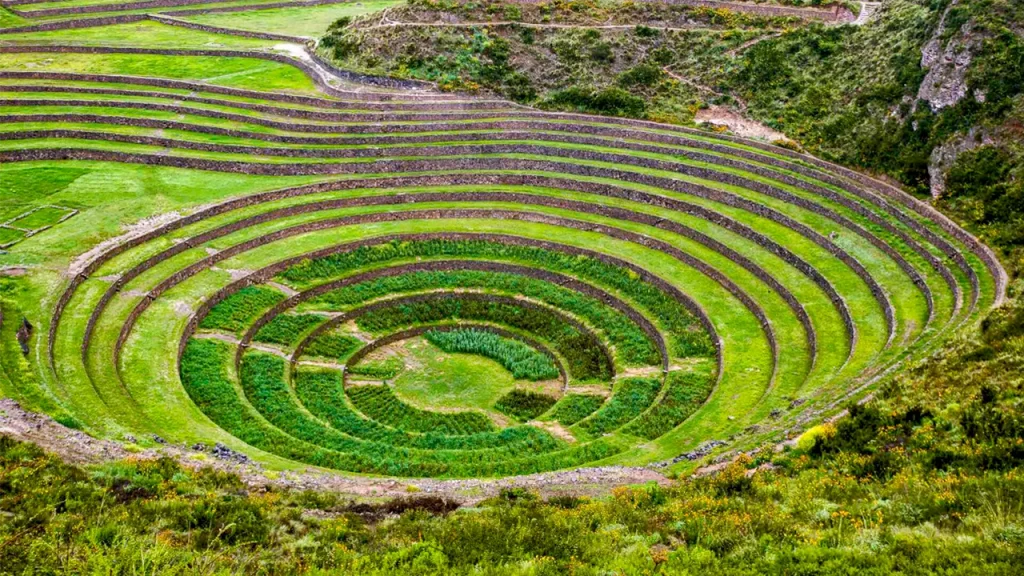 moray andenes