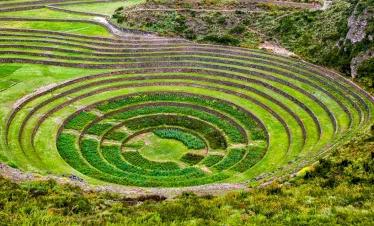 moray andenes