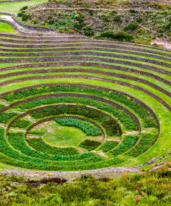 moray andenes