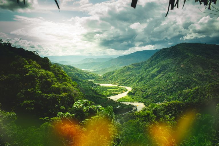 nature