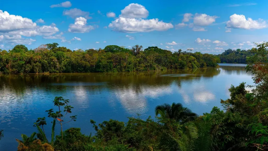 tambopata made de dios paquete